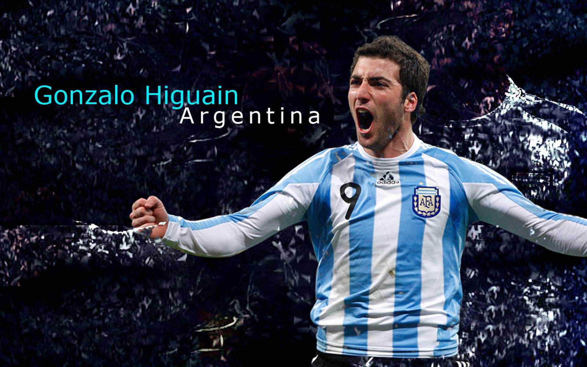 开云官网-美洲杯明星养成：精彩表现助球队夺冠！，美洲杯明星球员